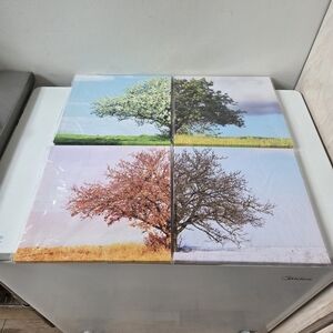 Canvas Art (4seasons)